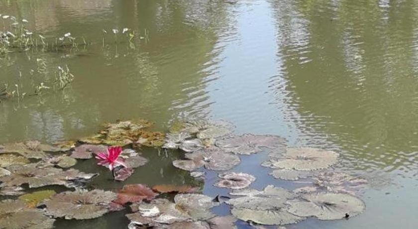 Hotel Oyo 769 Ban Thassanee Chiang Mai Zewnętrze zdjęcie